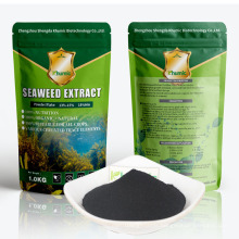 Ascophyllum nodosum seaweed extract powder seaweed extract for orchids